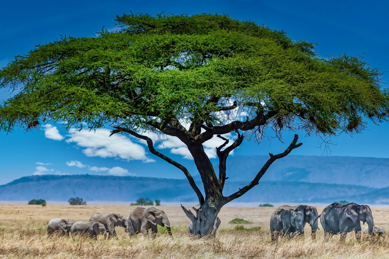 Must See Destinations East Africa
