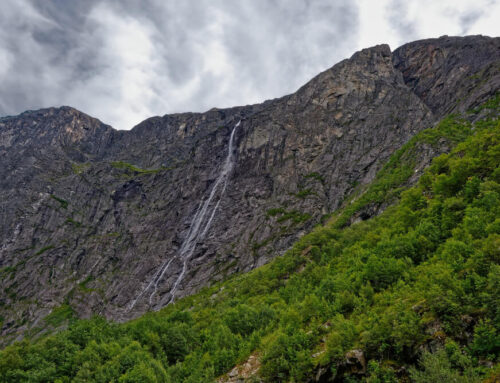 Unveiling the Biodiversity of Volcanoes National Park