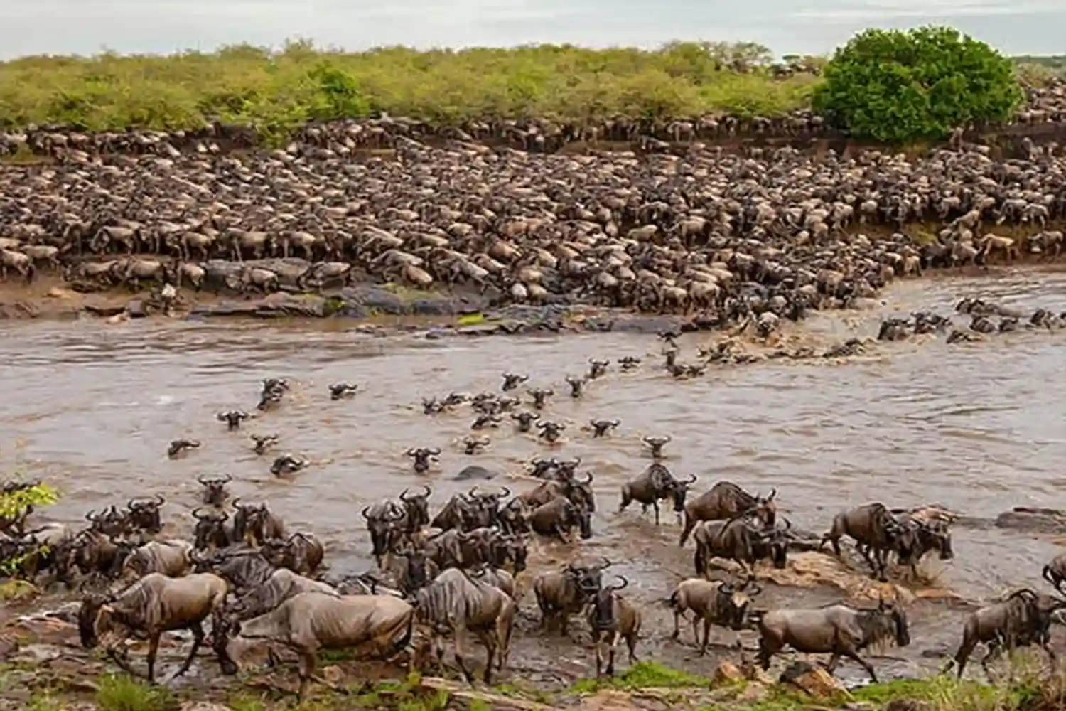 Great Migration and Big Five