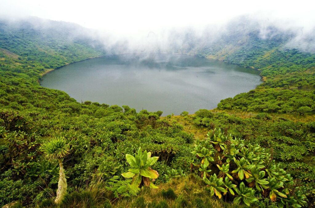 Volcanoes Park