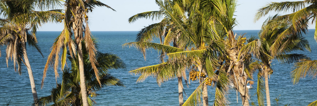 Mozambique Expensive For Tourists