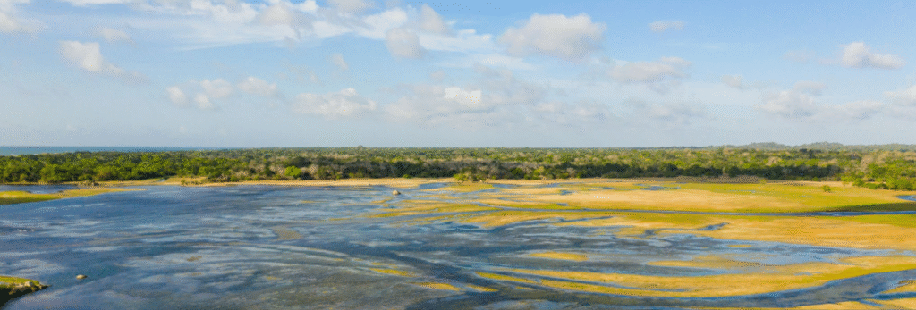 Mozambique Safari