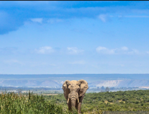 Is Mozambique Safe for Solo Females?