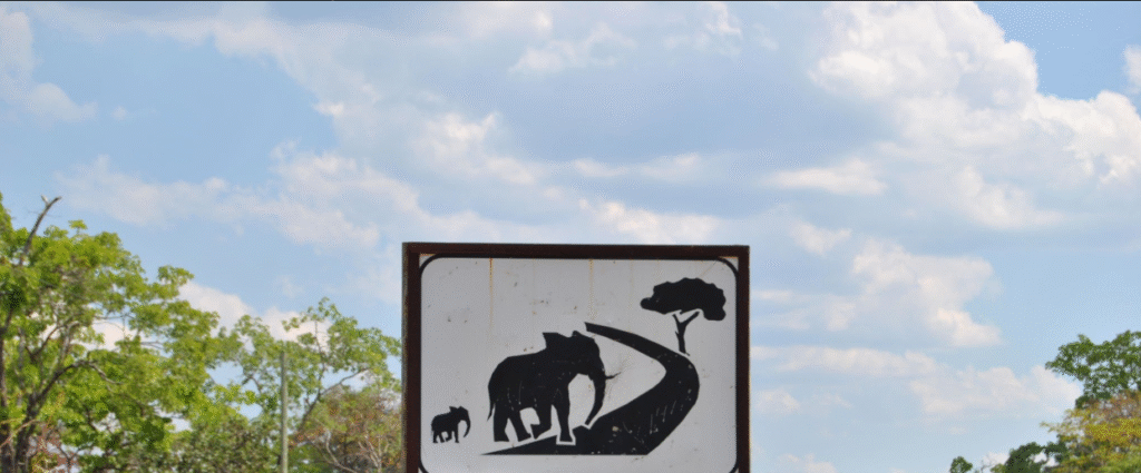 Niassa Reserve