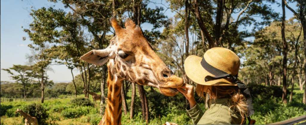 Solo Female Safari