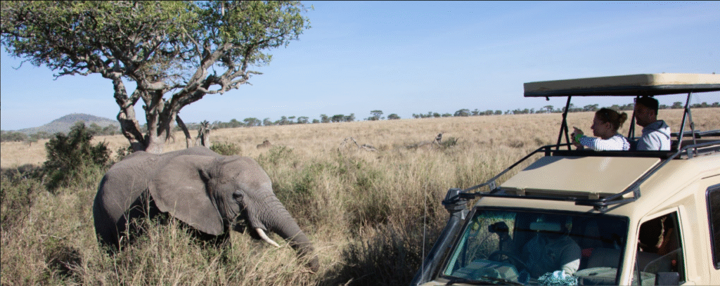 Tanzania Safari Costs
