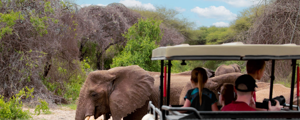 Tanzania Safari Must Visit