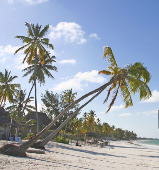 Tanzania's Beach