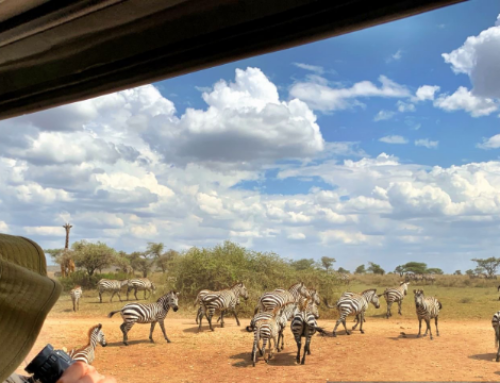 What’s the Best Tanzania Itinerary?