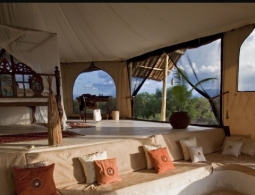 Does Tanzania Have Luxury Safari Lodges?