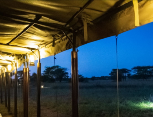Does Tanzania Have Night Safaris?
