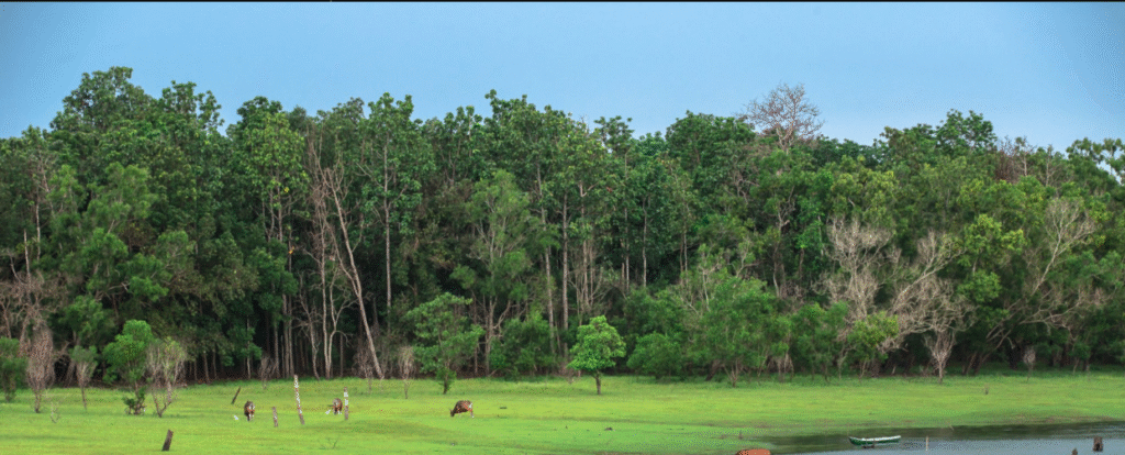 Wildlife Sanctuary