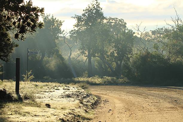 Cold Morning Safari Temperature