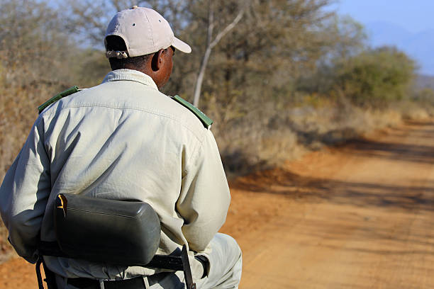 Shoulder Season Safari Benefits