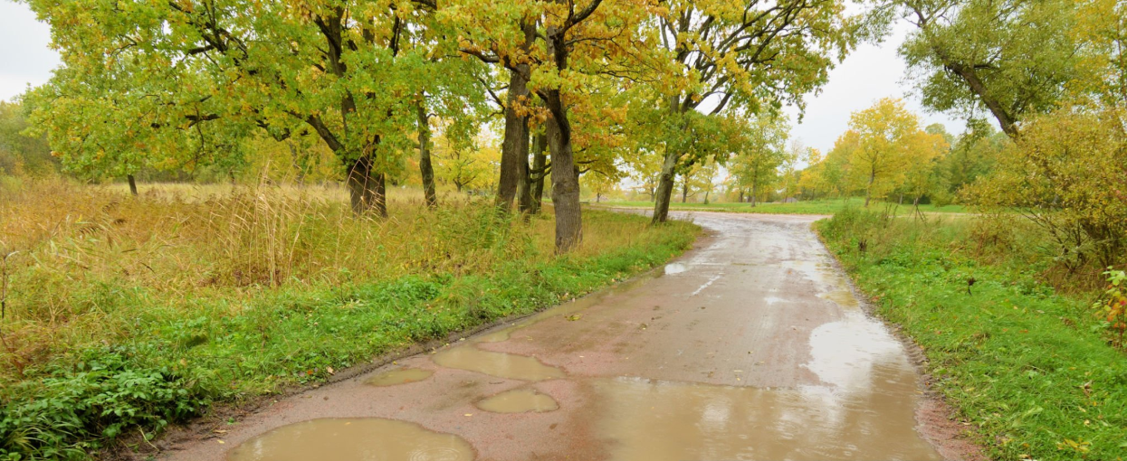 Weather Affects Roads Park
