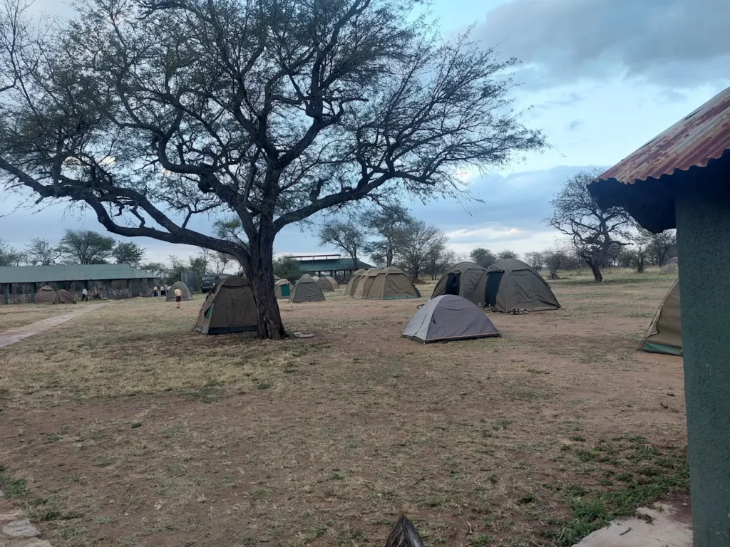 Nyani Campsite