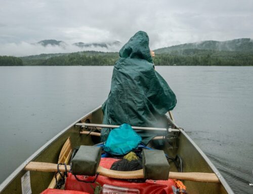Are there canoe trips in Selous?