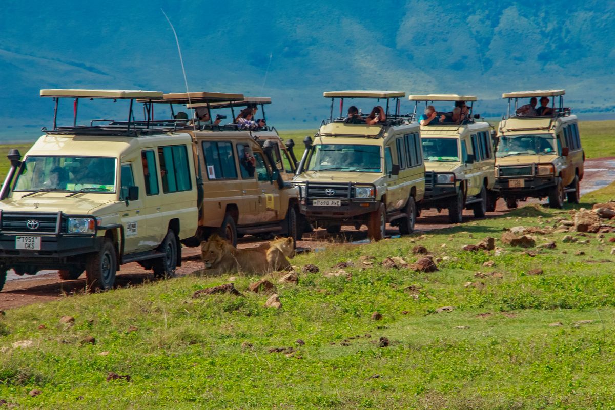 Fleet On Game Drive