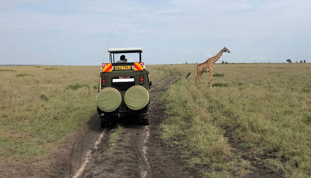 Game Drive View