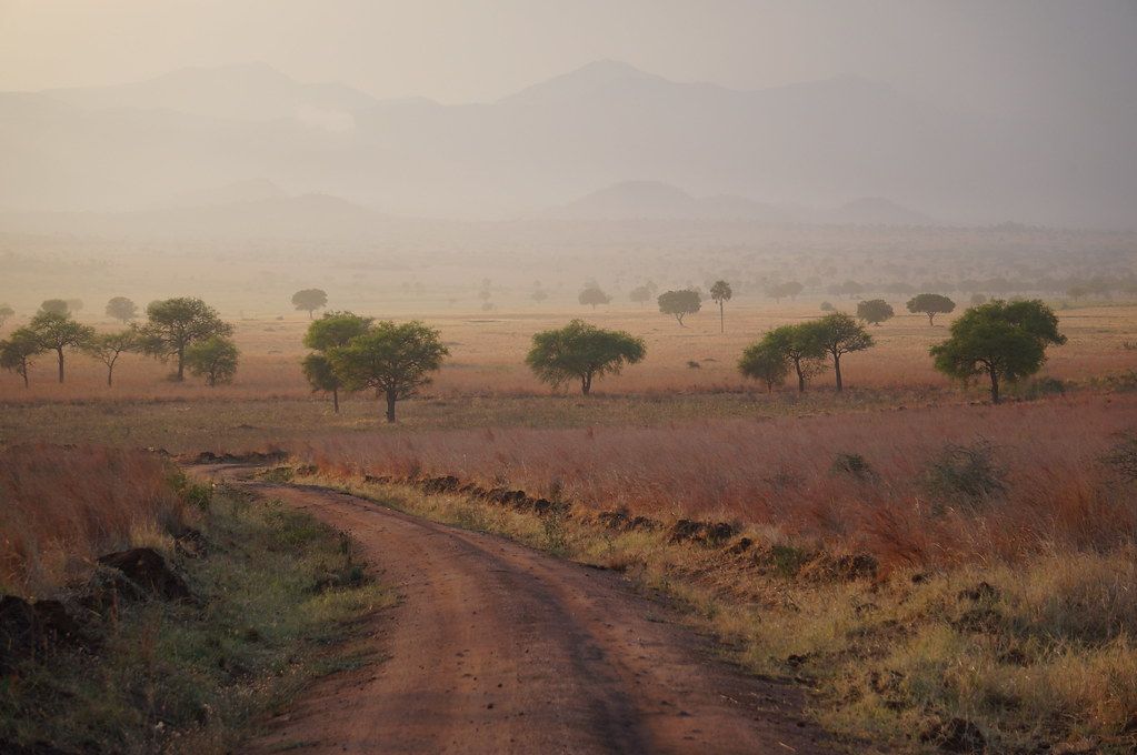 Kidepo Landscape