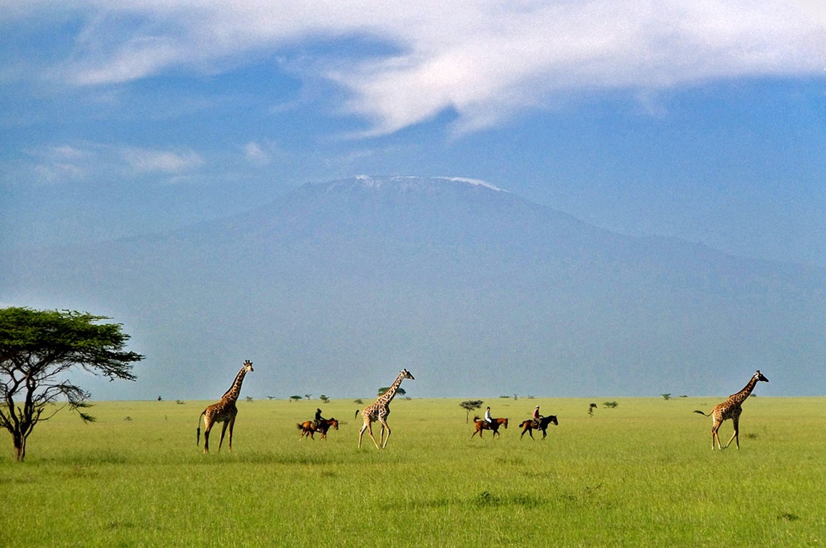 Kilimanjaro Mt