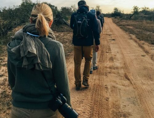 What’s the best app for safari guides?