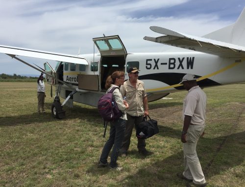 Are Fly-In Trips in Tanzania Allowed?