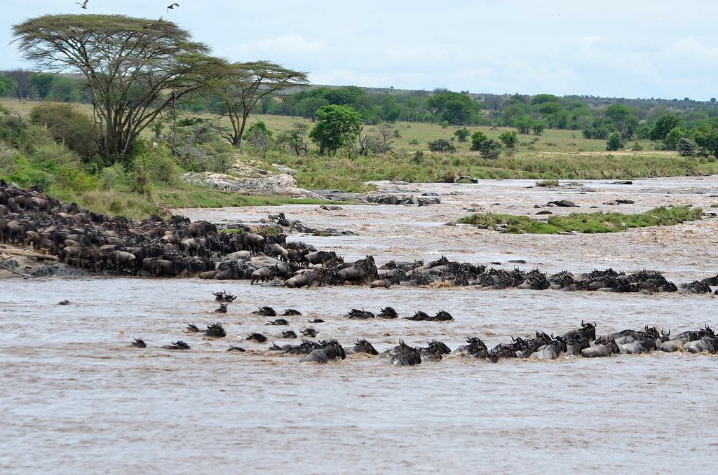 Man Delivering Parcels