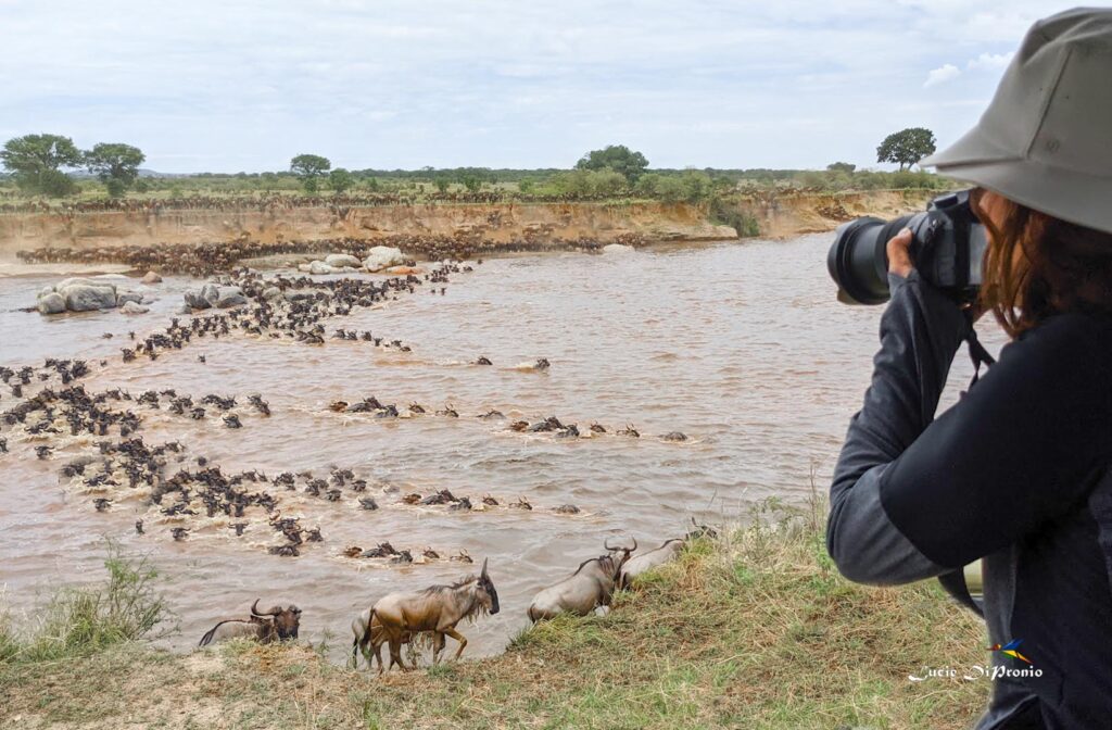 Best Viewpoints for Watching the Mara River Crossings