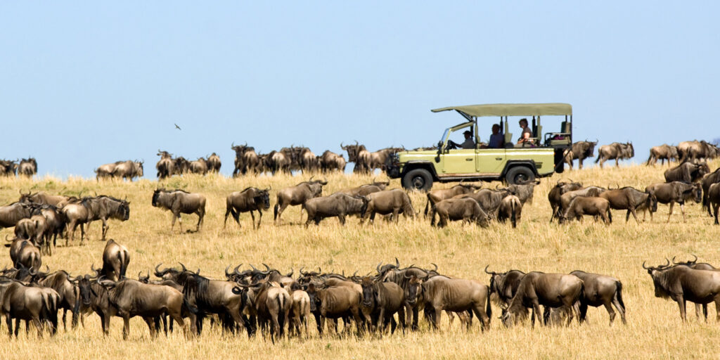 Great Migration February,