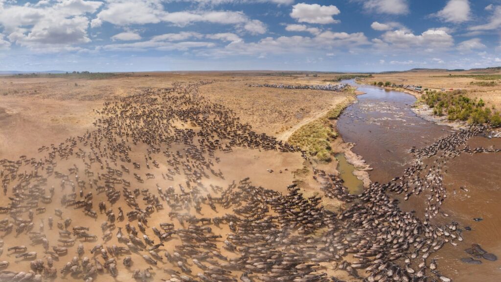 Great Migration Northern Serengeti