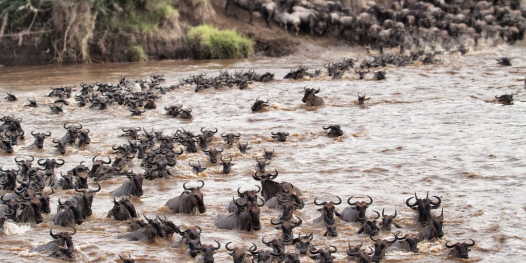 Great Migration September