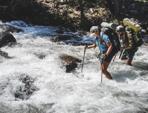 How Many River Crossings Happen Per Day During Peak Season?