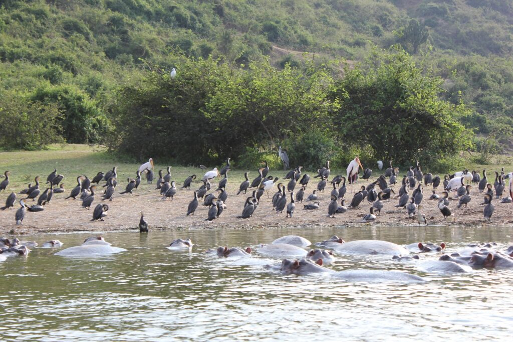 Kazinga Channel
