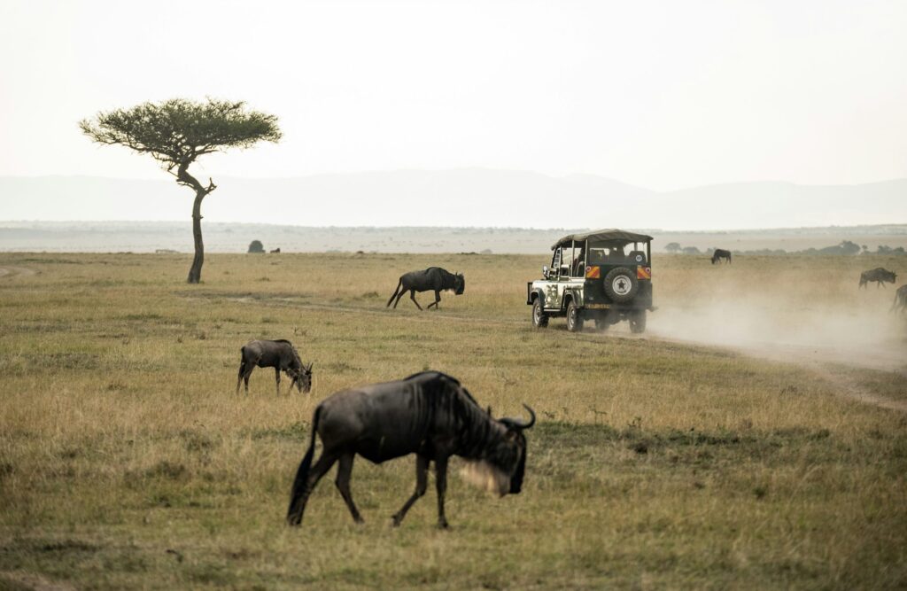 Kenya’s Top Safari Locations