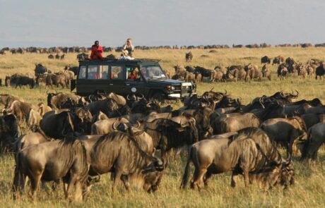 Masai Mara National Reserve