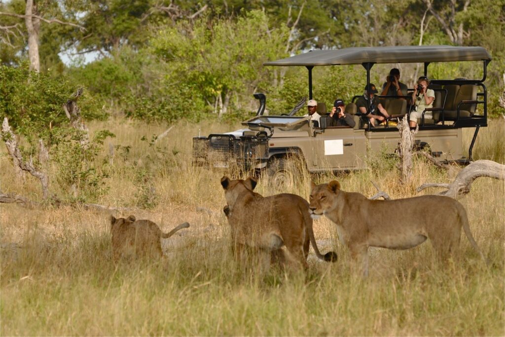 Murchison Falls National Park safaris