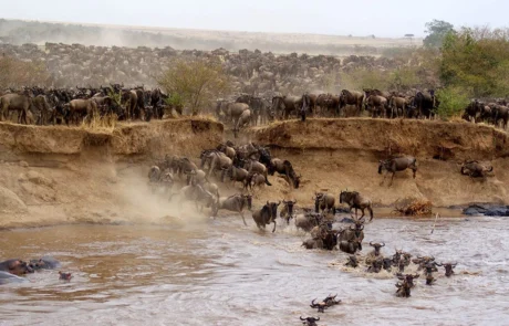 Nairobi to Masai Mara National Reserve