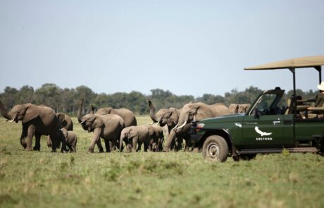 Nairobi to Masai Mara National Reserve