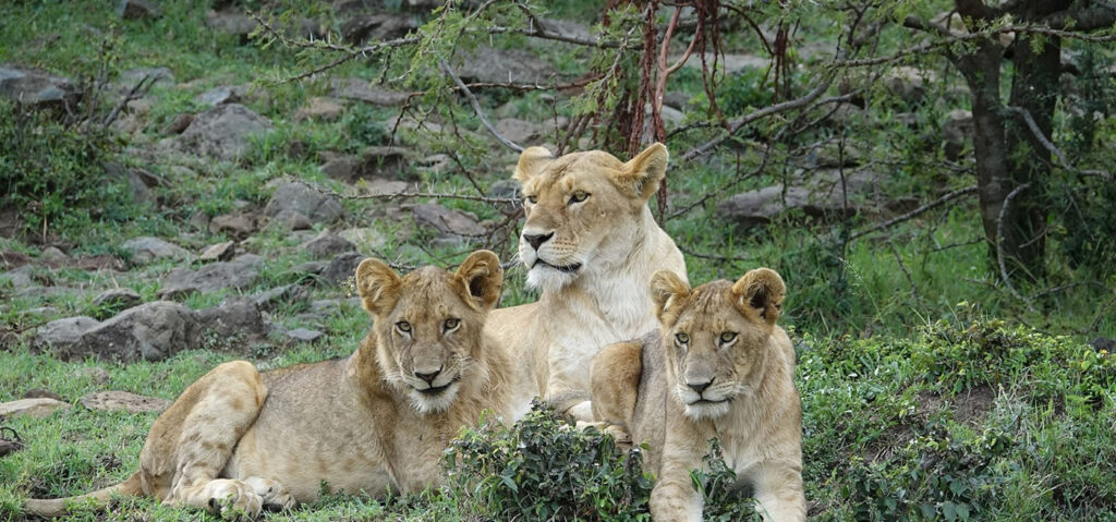 Nature Walk Tours at Kidepo Valley National Park