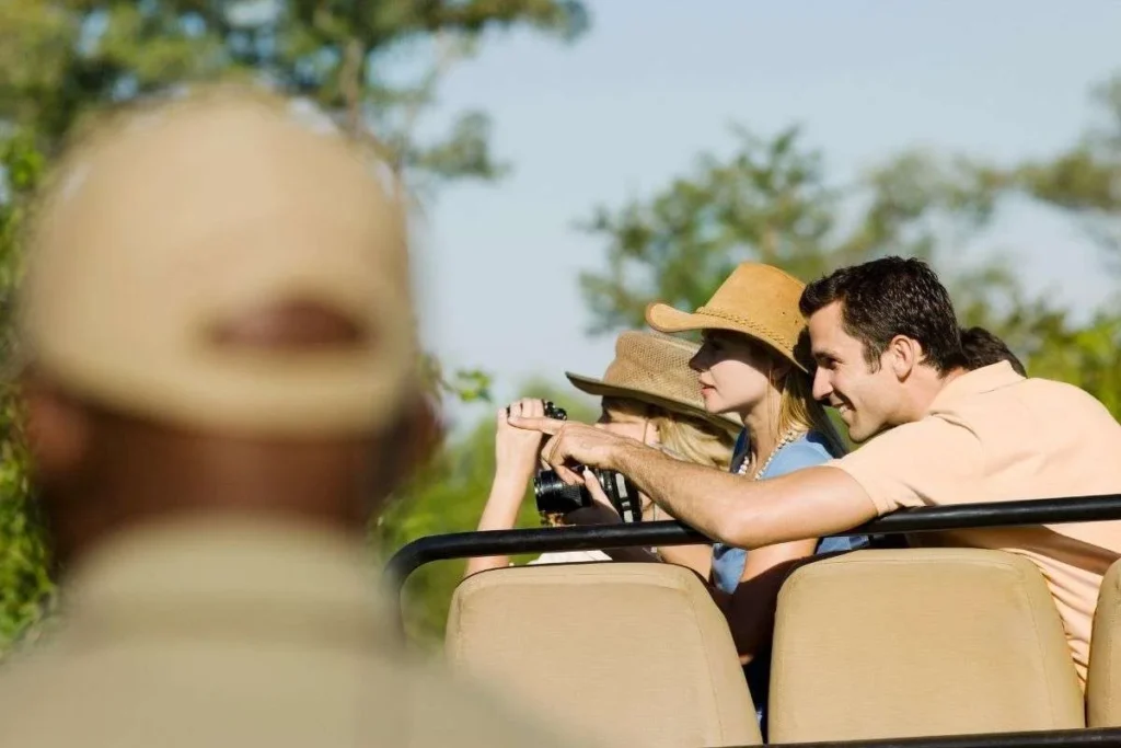 Safari Planning and Logistics in East Africa