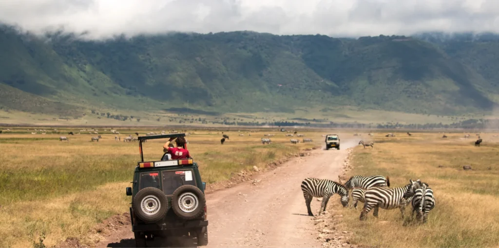 Tanzania Safari 2026