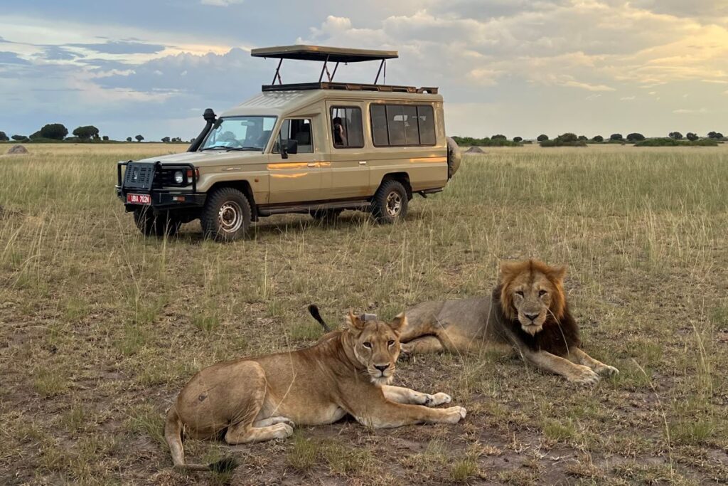 The Best Uganda Safari Itinerary