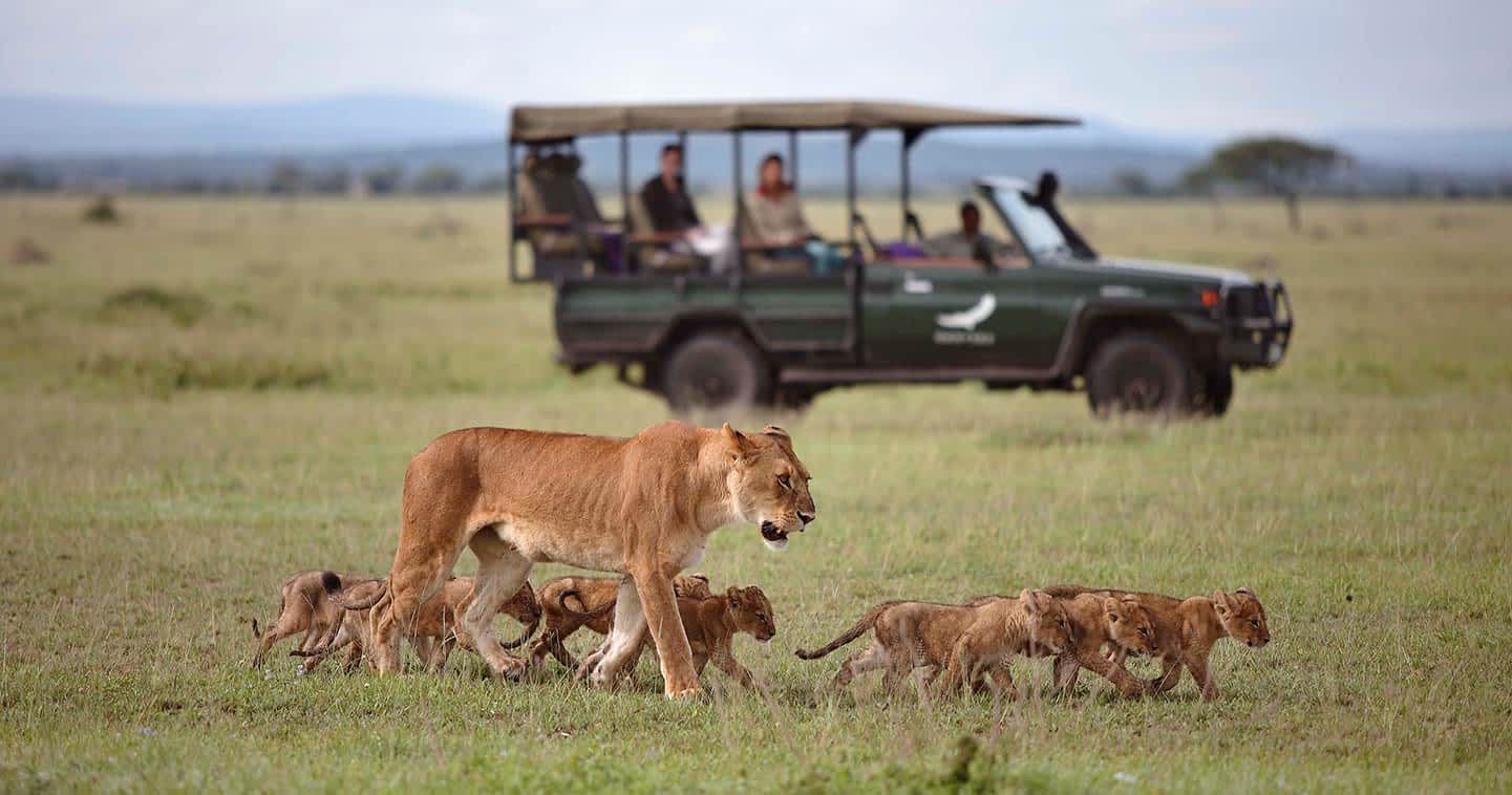 Western Serengeti Corridor Safari