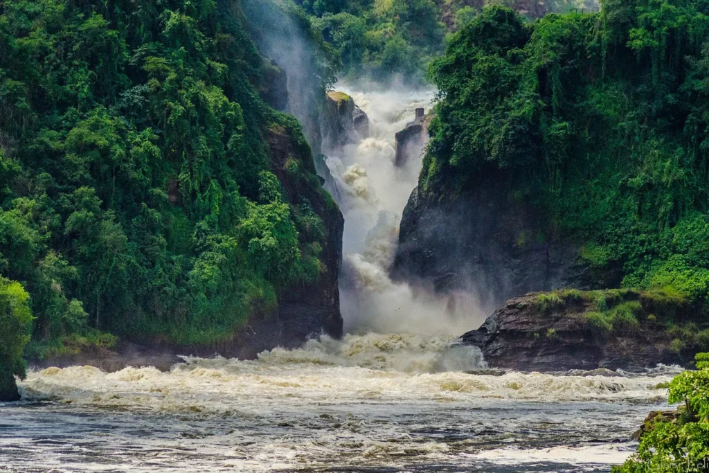 murchison falls national park