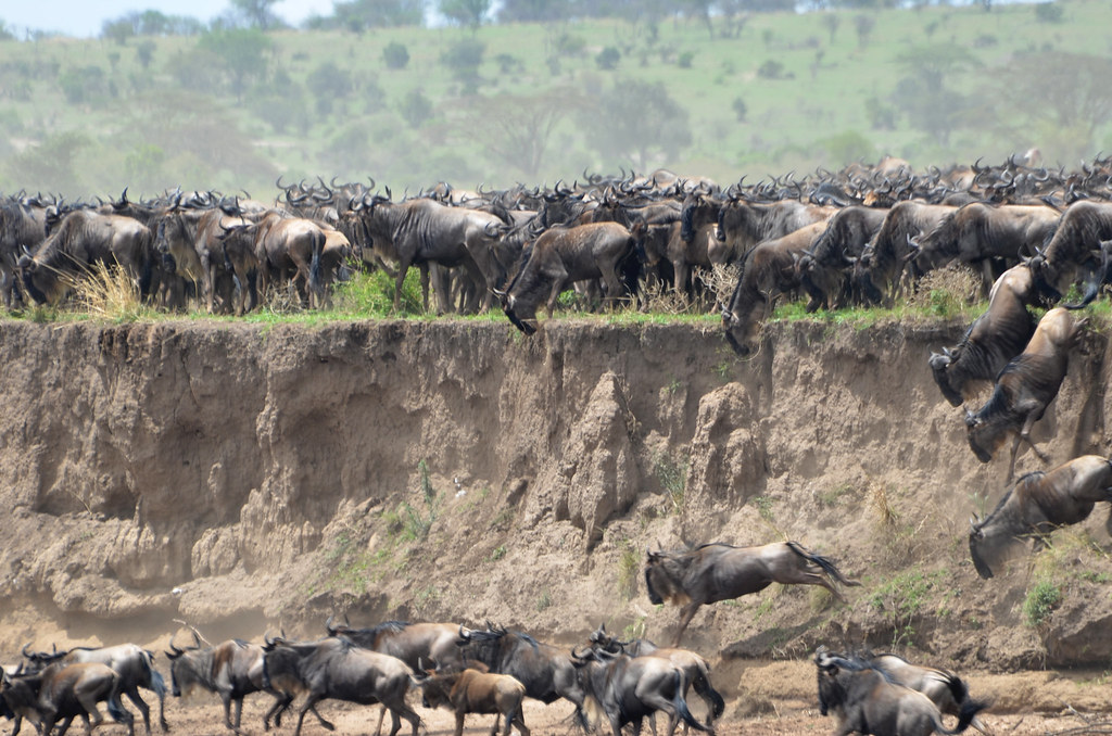 10 Day Serengeti & Masai Mara Safari