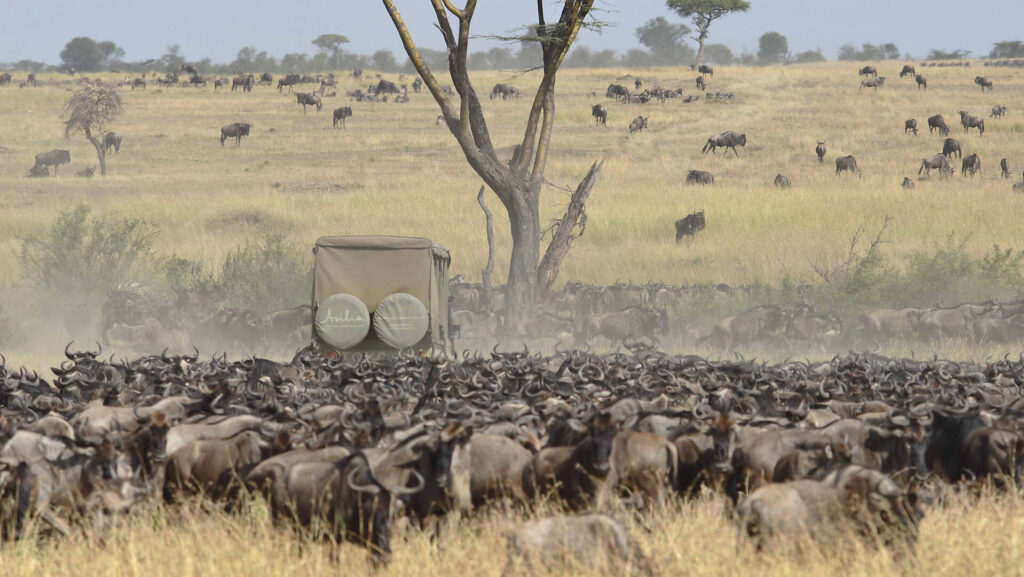 Great Migration