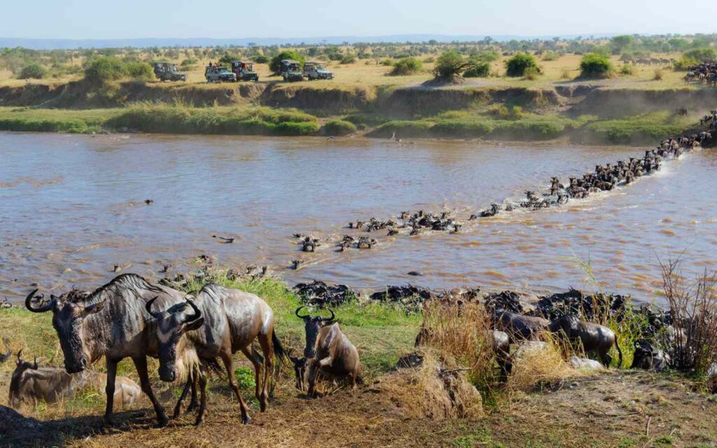 Great Migration