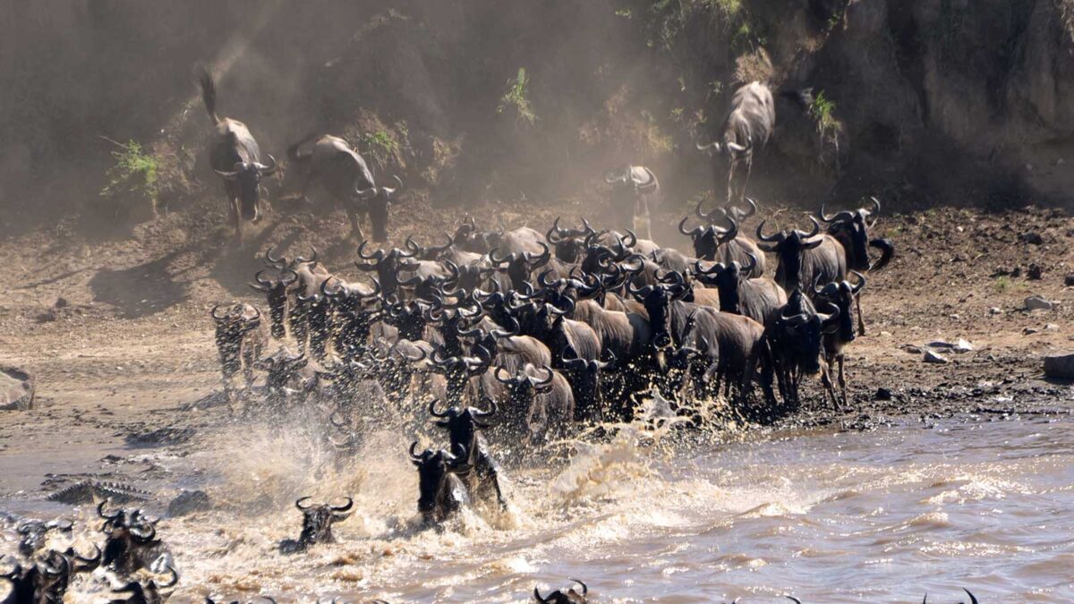 10-Day Great Migration Itinerary