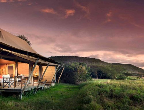 Best Camps Inside Masai Mara Conservancies for the Great Migration